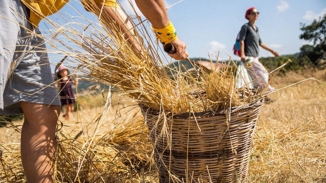 FAO, 2022 Dünya Gıda Günü'nde "Kimseyi Geride Bırakma”