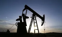 Petrol İhraç Eden Ülkeler Örgütü'nün petrol üretimi ocakta azaldı