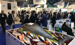 Seafood 2024 yarından itibaren Boston'da ziyaretçileriyle buluşuyor