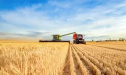 FAO ve Dünya Bankası verilerine göre Türkiye tarımda zirvede