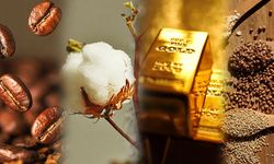 Emtia piyasasında dalgalanmalar sonucu altın, gümüş ve diğer değerli metallerde yükseliş görüldü