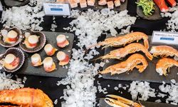 Deniz ürünleri endüstrisinin öncü etkinliği: Seafood Expo Global