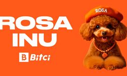 Rosa Inu Token, Bitci'de 15 Mayıs'ta listelenecek