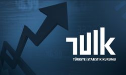 Türkiye İstatistik Kurumu (TÜİK), 2023 yılına ilişkin iş gücü istatistiklerini açıkladı