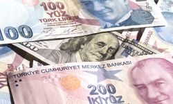 TCMB, döviz karşılığı TL swap işlemlerine yarından itibaren son verecek