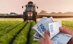 Tarım ve Orman Bakanlığı, tarımsal destek ödemelerine ilişkin istatistik bülteninin ilkini yayımladı