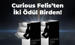 Kiğılı, Curious Felis 2024’ten iki ayrı kategoride ödül kazandı