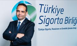 Sigorta Sektöründe İstihdam Artışı