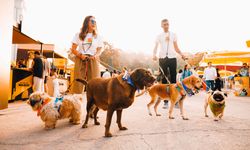 Türkiye’nin ilk ve tek kokteyl festivali İstanbul Cocktail Festivali için geri sayım başladı