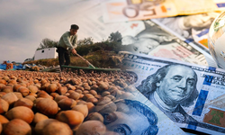 Fındıkta Rekor İhracat: Türkiye’ye 2,44 Milyar Dolar Döviz Yağdı!