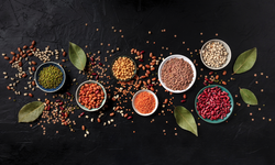 WorldFood İstanbul’a 25 Firmayla Ege Çıkarması