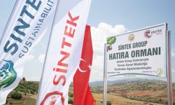 Sintek, 20. Yılında Geleceğe 10 Bin Fidanla Nefes Oldu