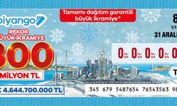 Milli piyango’dan 800 milyon tl yılbaşı ikramiyesi