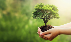 Fuzul’den 2025 çalışanı adına Çanakkale ve Şanlıurfa’ya 2025 fidan bağışı