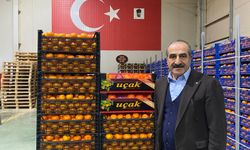 Mandalina ihracatında yeni hedef 1 milyar dolar