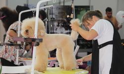 Pet İzmir 2026, evcil hayvan sektörünü İzmir’de buluşturuyor