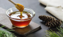 Türkiye Çam Balı Küresel Değer Zincirinde Hak Ettiği Konuma Taşınacak