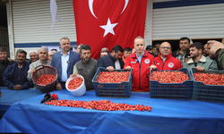 Kiraz ihracatçıları 200 milyon dolar ihracat hedefiyle sezona girdi