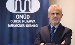 Oluklu mukavva sektörü 2025’te gücünü korudu, 2026’da büyüme bekleniyor