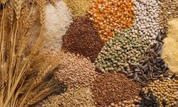 Hububat, bakliyat, yağlı tohumlar ve mamulleri ihracatı ilk 5 ayda 4,8 milyar dolara ulaştı