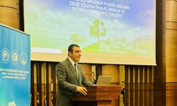 AB kararıyla Türkiye yeşil dönüşüm üssü olabilir