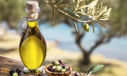 Türk zeytin ve zeytinyağı sektörü veri odaklı yeni döneme hazırlanıyor