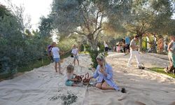 Olive Fest 2026, Antalya’dan İstanbul’a Uzanan Bir Deneyim Yolculuğu Sunuyor