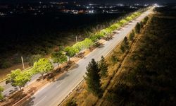 Dicle Elektrik’ten Şanlıurfa GAP Havalimanı Yoluna Aydınlatma Yatırımı