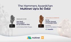 Multinet Up’a The Hammers Awards’tan İki Ödül