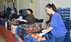 Batı Akdeniz’in Yaş Meyve İhracatı 9 Ayda Yüzde 53,5 Arttı