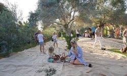 Olive Fest 2026, Antalya’dan İstanbul’a Uzanan Bir Deneyim Yolculuğuna Çıkıyor