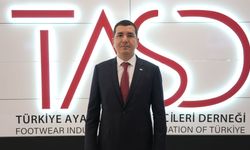 TASD Başkanı Berke İçten, "Değer olarak ihracatta 2 milyar dolara çıkabilecek bir potansiyelimiz var"