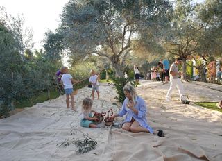 Olive Fest 2026, Antalya’dan İstanbul’a Uzanan Bir Deneyim Yolculuğu Sunuyor