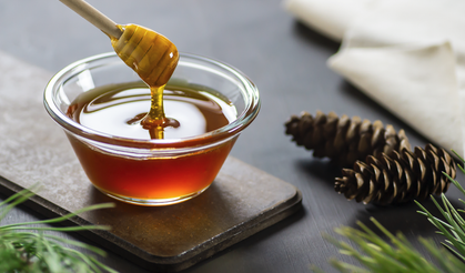 Türkiye Çam Balı Küresel Değer Zincirinde Hak Ettiği Konuma Taşınacak