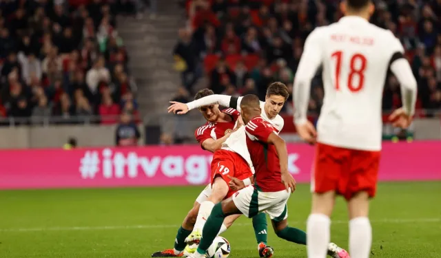 A Milli Futbol Takımı, Avusturya ile Hazırlık Maçında Karşı Karşıya Gelecek