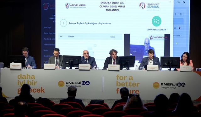 Enerjisa Enerji 2025’te yatırım atağına geçiyor