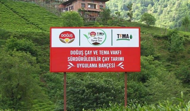 Doğuş Çay ve TEMA Vakfı'ndan sağlıklı topraklar ve sürdürülebilir çay tarımı için ortak adım