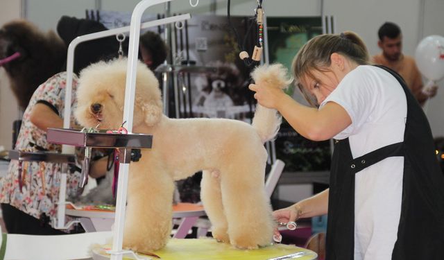 Pet İzmir 2026, evcil hayvan sektörünü İzmir’de buluşturuyor