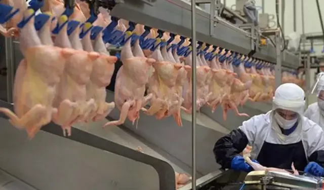 Kanatlı eti ihracatına durdurma kararı