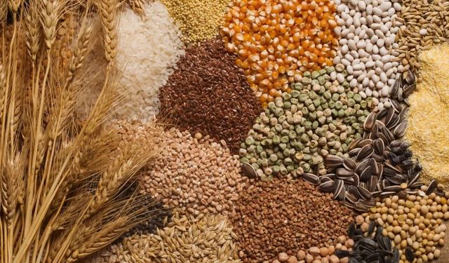 Hububat, bakliyat, yağlı tohumlar ve mamulleri ihracatı ilk 5 ayda 4,8 milyar dolara ulaştı