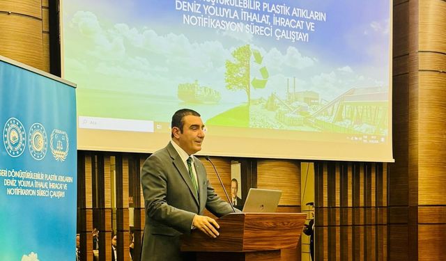 AB kararıyla Türkiye yeşil dönüşüm üssü olabilir