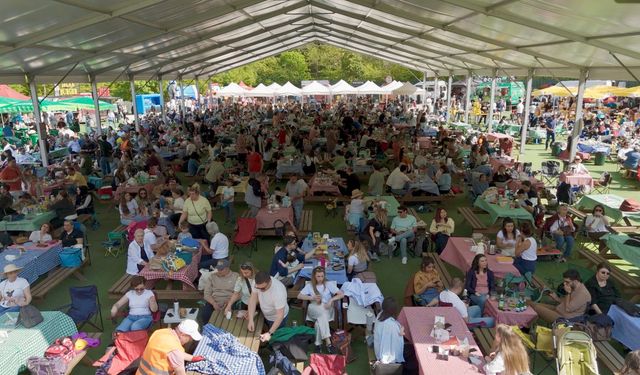 Ormanda Caz & Piknik, 6. Edisyonuyla Lifepark'ta Müzikseverlerle Buluşuyor