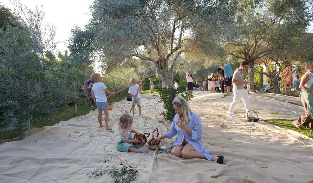 Olive Fest 2026, Antalya’dan İstanbul’a Uzanan Bir Deneyim Yolculuğu Sunuyor
