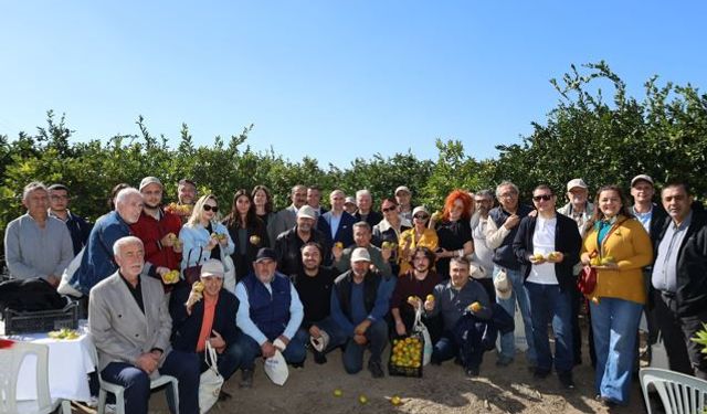 Satsuma mandalinanın ihracat yolculuğu başladı