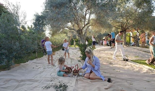 Fişekhane’de Olive Fest 2026 Heyecanı Başlıyor