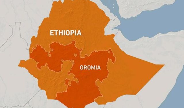 Etiyopya 12 gün sonra 338 kişinin öldürüldüğünü açıkladıc