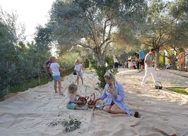 Fişekhane’de Olive Fest 2026 Heyecanı Başlıyor