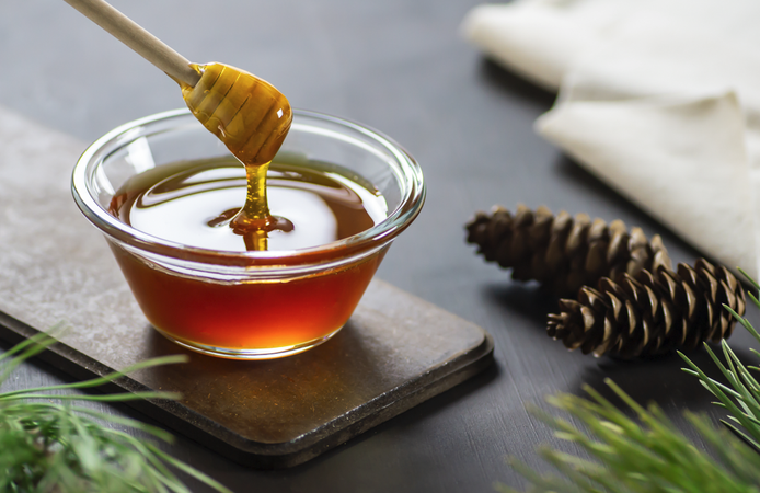 Türkiye Çam Balı Küresel Değer Zincirinde Hak Ettiği Konuma Taşınacak