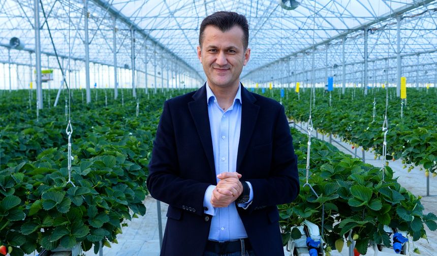 Adana’daki ForaBerry serası yılda 450 ton çilek üretim kapasitesine ulaştı