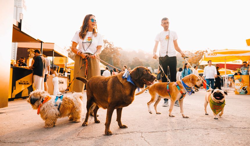 Türkiye’nin ilk ve tek kokteyl festivali İstanbul Cocktail Festivali için geri sayım başladı